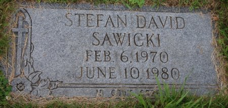 SAWICKI, STEFAN DAVID - Hillsborough County, New Hampshire | STEFAN DAVID SAWICKI - New Hampshire Gravestone Photos